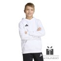 Bluza adidas ENTRADA 26 Hoody Junior JZ6561