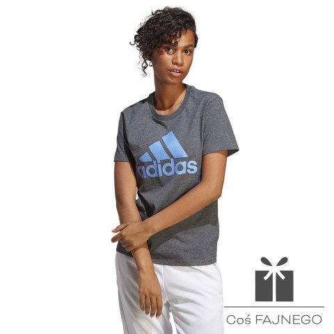 Koszulka adidas Big Logo Tee IC0634