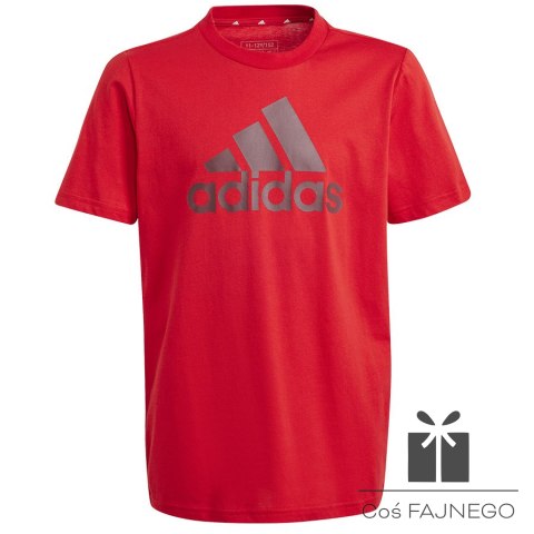 Koszulka adidas Big Logo Tee Jr IJ6262