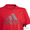 Koszulka adidas Big Logo Tee Jr IJ6262