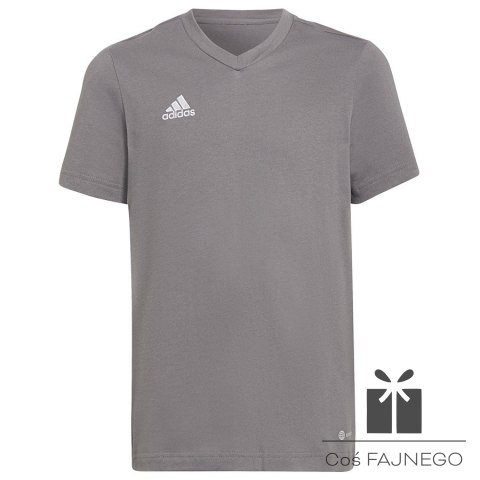 Koszulka adidas ENTRADA 22 Tee HC0444