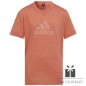 Koszulka adidas FI Big Logo Tee girls Jr IC0110