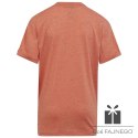 Koszulka adidas FI Big Logo Tee girls Jr IC0110