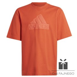 Koszulka adidas FI Logo Tee Jr HR6296