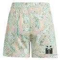 Spodenki adidas SUM Allover Print Short HR5833