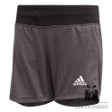 Spodenki adidas YG TR Chill SH DV2799