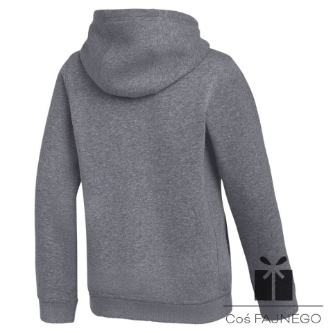 Bluza Nike Park 26 Hoody Junior IB1226-071