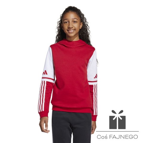 Bluza adidas SQUADRA 25 Sweat Hoody JD4805