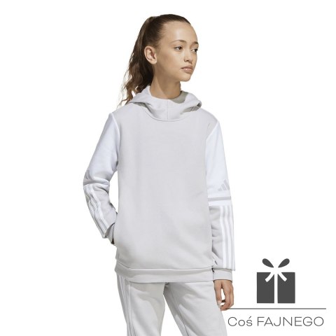 Bluza adidas SQUADRA 25 Sweat Hoody JD4808