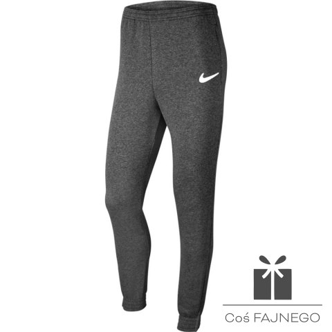Spodnie Nike Park 20 Fleece Pant CW6907 071