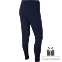 Spodnie Nike Park 20 Fleece Pant CW6907 451