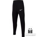 Spodnie Nike Park 20 Fleece Pant Junior CW6909 010