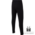 Spodnie Nike Park 20 Fleece Pant Junior CW6909 010