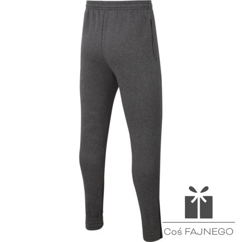 Spodnie Nike Park 20 Fleece Pant Junior CW6909 071