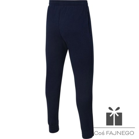 Spodnie Nike Park 20 Fleece Pant Junior CW6909 451