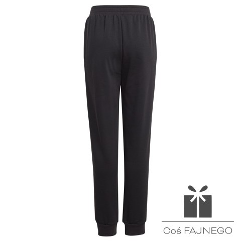 Spodnie adidas BLUV Q3 Pant Jr IA1552