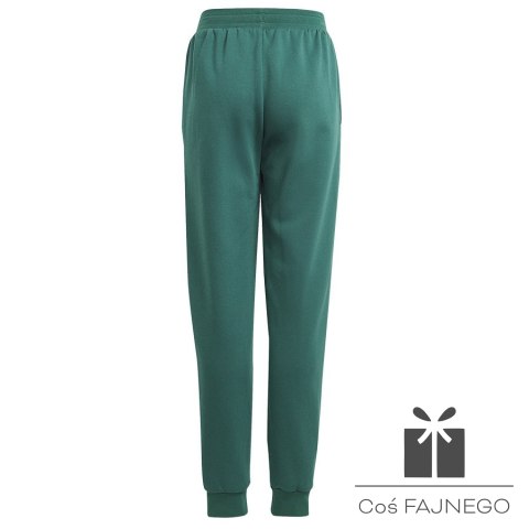 Spodnie adidas BLUV Q3 Pant Jr IA1553