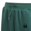 Spodnie adidas BLUV Q3 Pant Jr IA1553