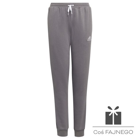 Spodnie adidas ENTRADA 22 Sweat Panty Y H57519