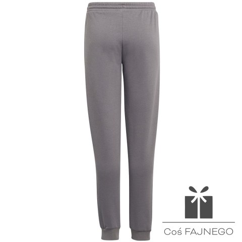 Spodnie adidas ENTRADA 22 Sweat Panty Y H57519