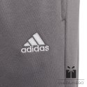 Spodnie adidas ENTRADA 22 Sweat Panty Y H57519