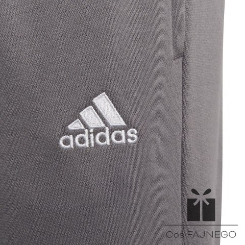 Spodnie adidas ENTRADA 22 Sweat Panty Y H57519