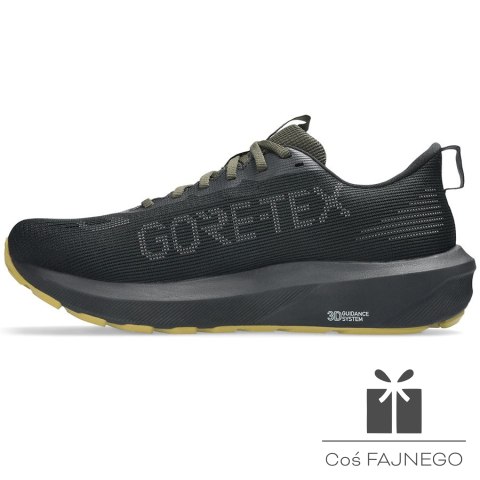Buty Asics GT-1000 14 GTX 1011C078 001