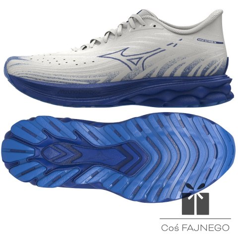 Buty Mizuno WAVE SKYRISE 6 J1GC250954