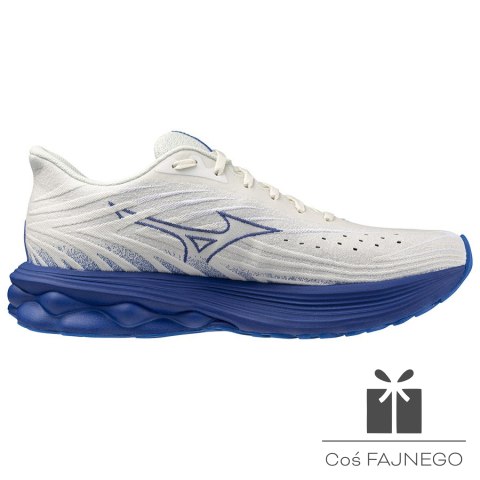 Buty Mizuno WAVE SKYRISE 6 J1GC250954