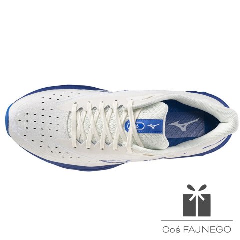 Buty Mizuno WAVE SKYRISE 6 J1GC250954