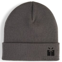 Czapka Puma High Crown Beanie Metal Cat 026404-03