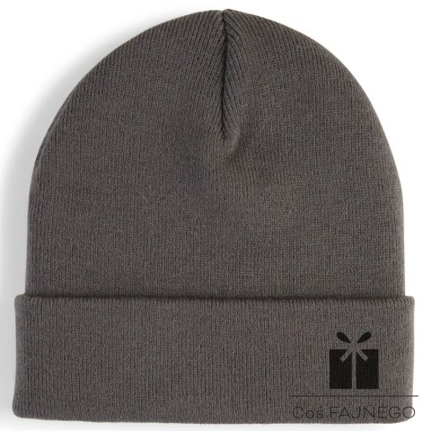 Czapka Puma High Crown Beanie Metal Cat 026404-03