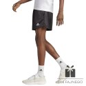 Spodenki adidas XPRESS Short IB8396
