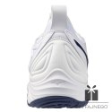 Buty Mizuno WAVE MOMENTUM 3 V1GA231297