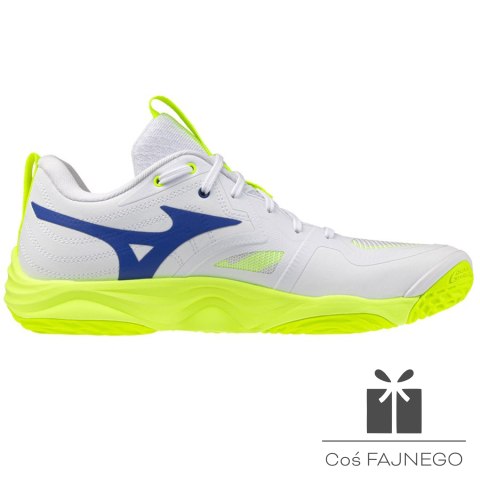 Buty Mizuno WAVE MOMENTUM ELITE V1GA251239