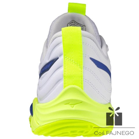 Buty Mizuno WAVE MOMENTUM ELITE V1GA251239