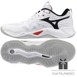 Buty Mizuno WAVE MOMENTUM PRO V1GA254059