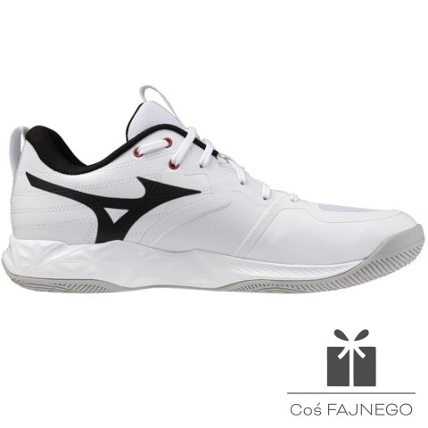 Buty Mizuno WAVE MOMENTUM PRO V1GA254059