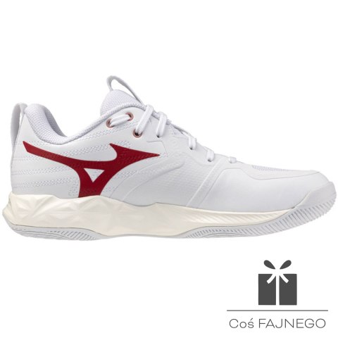 Buty Mizuno WAVE MOMENTUM PRO W V1GC254073