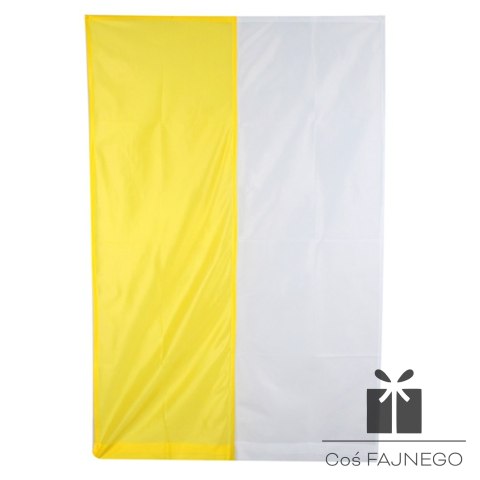 Flaga papieska