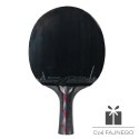 Rakietka do p-ponga Aurora PRO 3* SG 3002