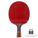 Rakietka do p-ponga Aurora PRO 6* SG 6002