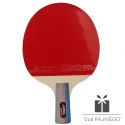 Zestaw do p-ponga AURORA SG6166 ***