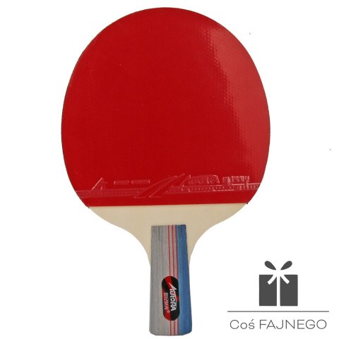 Zestaw do p-ponga AURORA SG6166 ***