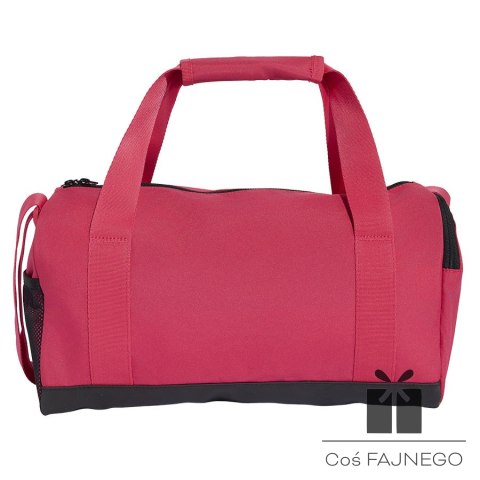 Torba adidas Linear Duffe XS KS2072