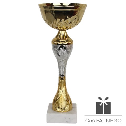Puchar Tryumf 9266