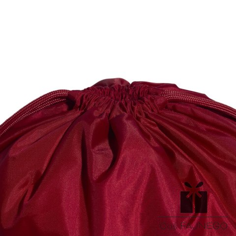 Worek na buty i odzież adidas Linear Gymsack KE5709