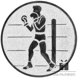 Emblemat samoprzylepny / Boks / Srebrny / 25 mm