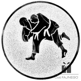Emblemat samoprzylepny / Judo / Srebrny / 25 mm