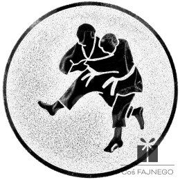 Emblemat samoprzylepny / Judo / Srebrny / 50 mm